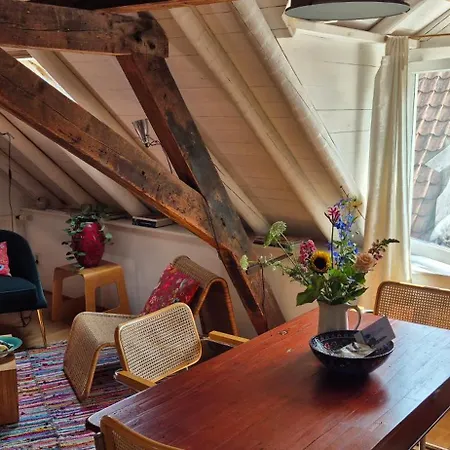 Luxe In Het Oude Centrum アパート